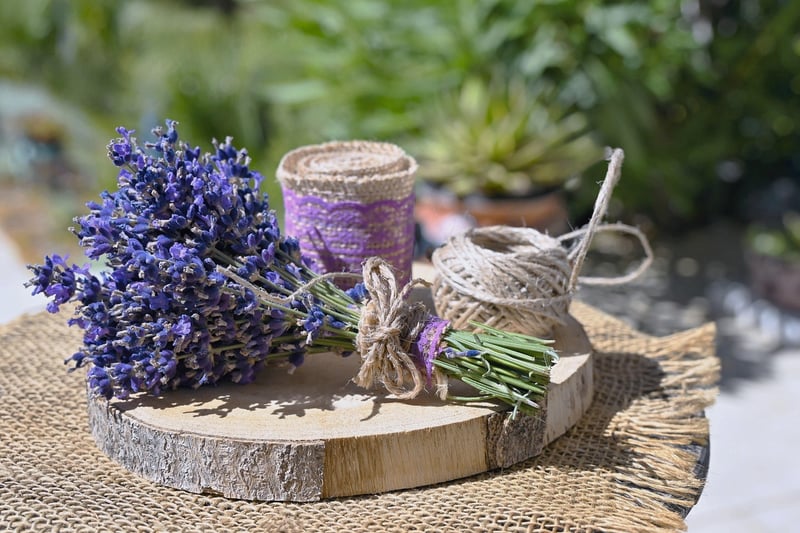 Herb Garden Crafts