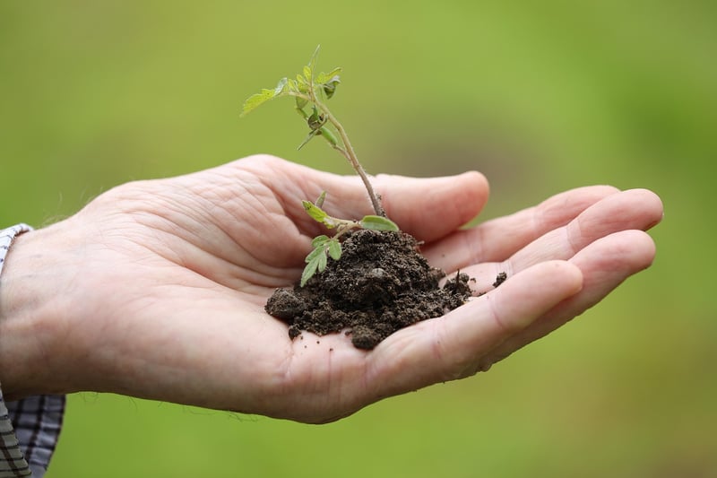 Collaborative Gardening