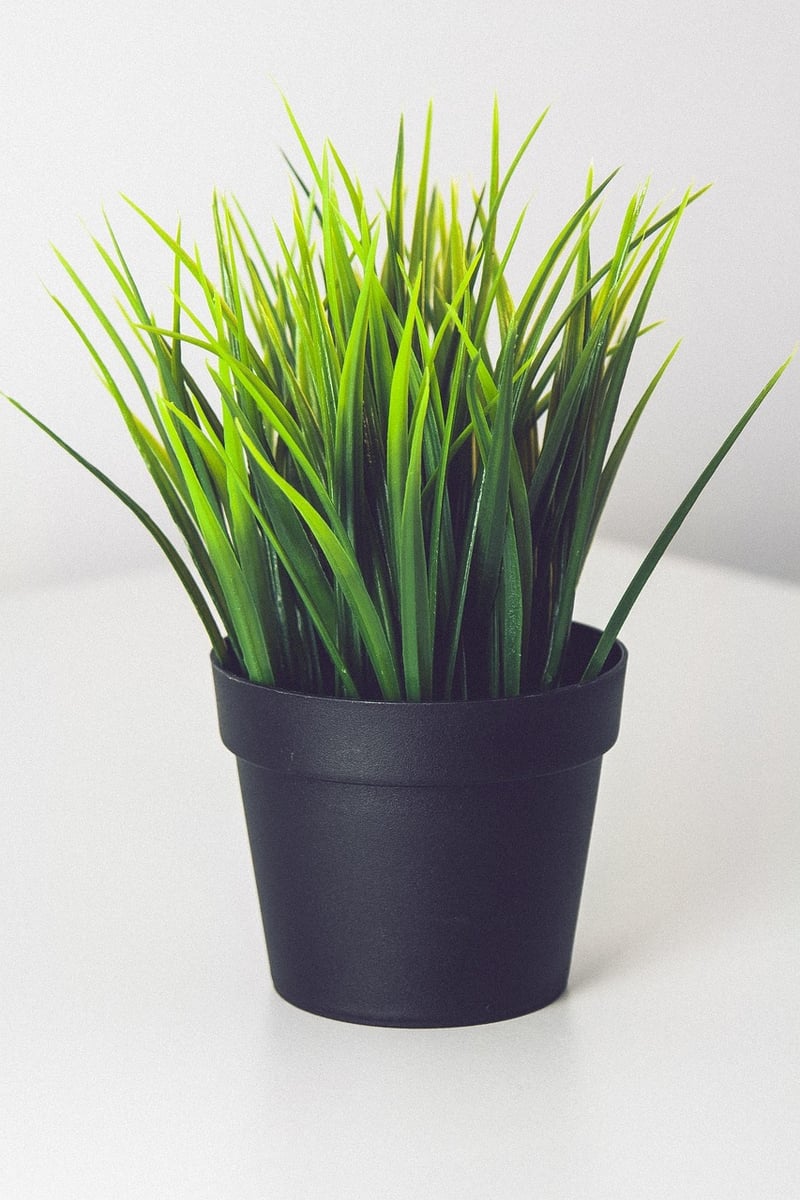 DIY Plant Markers