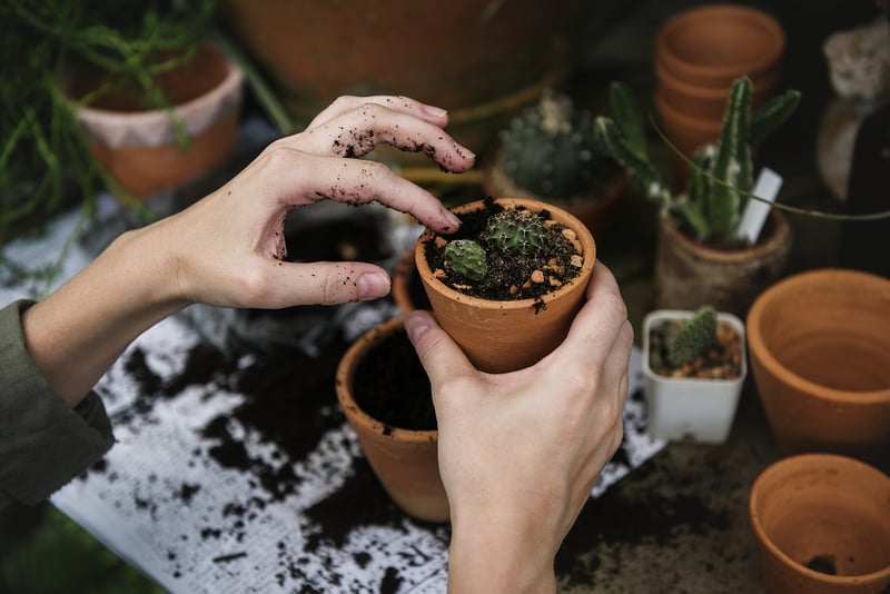 Nurturing Plants