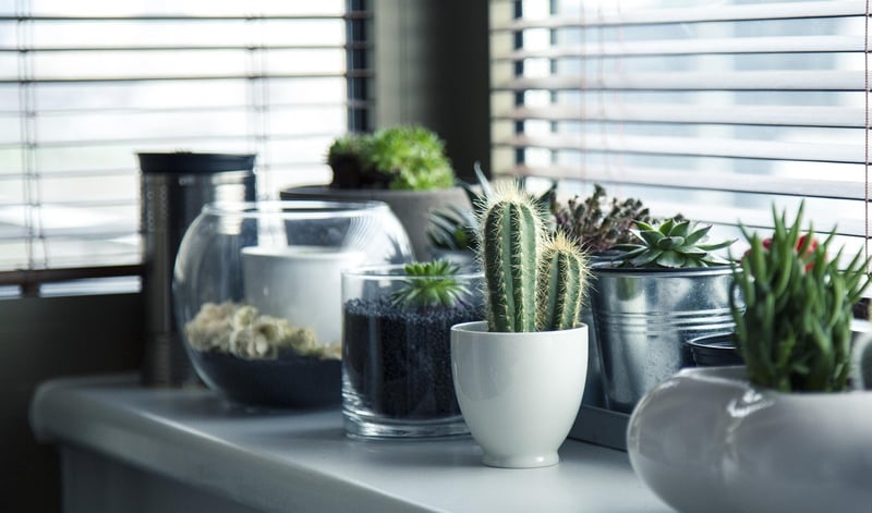 Mason Jar Herb Planters